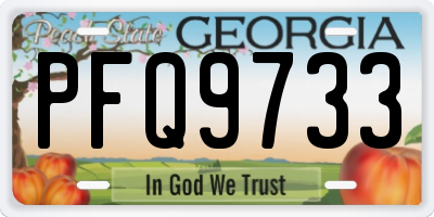 GA license plate PFQ9733