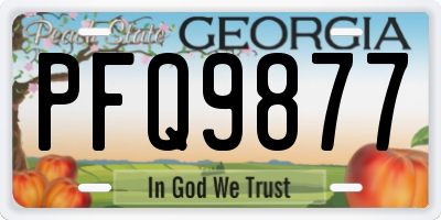 GA license plate PFQ9877