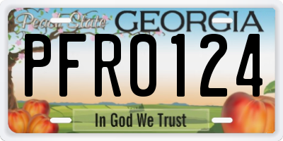 GA license plate PFR0124