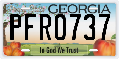 GA license plate PFR0737