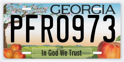 GA license plate PFR0973