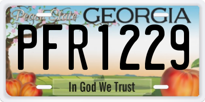 GA license plate PFR1229