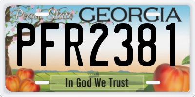 GA license plate PFR2381