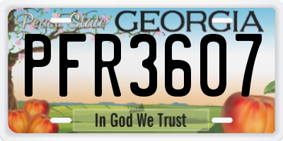 GA license plate PFR3607