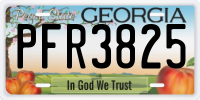 GA license plate PFR3825