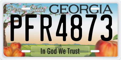 GA license plate PFR4873