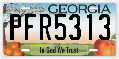 GA license plate PFR5313