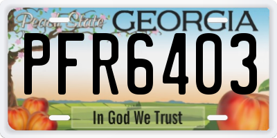 GA license plate PFR6403