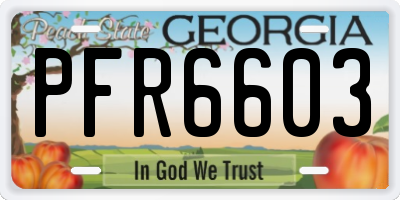 GA license plate PFR6603