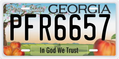 GA license plate PFR6657