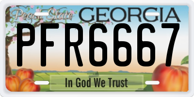 GA license plate PFR6667