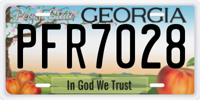GA license plate PFR7028