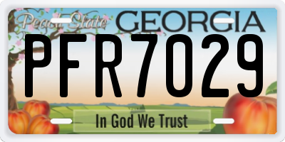 GA license plate PFR7029