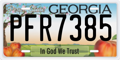 GA license plate PFR7385