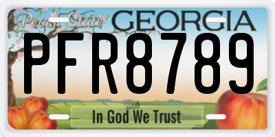 GA license plate PFR8789