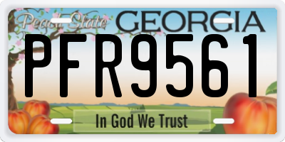 GA license plate PFR9561