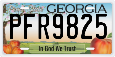GA license plate PFR9825