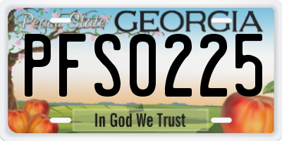 GA license plate PFS0225