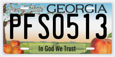 GA license plate PFS0513