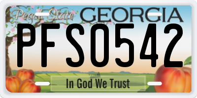 GA license plate PFS0542
