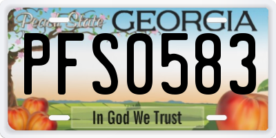 GA license plate PFS0583