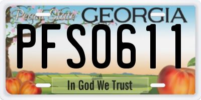 GA license plate PFS0611