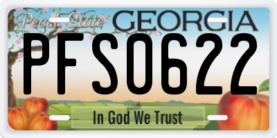 GA license plate PFS0622