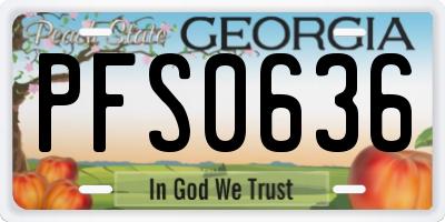 GA license plate PFS0636