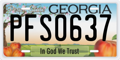GA license plate PFS0637
