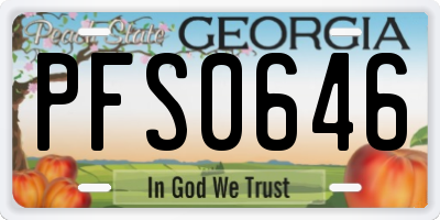 GA license plate PFS0646