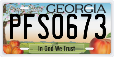 GA license plate PFS0673