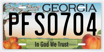 GA license plate PFS0704