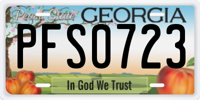 GA license plate PFS0723