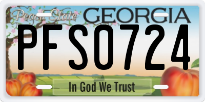 GA license plate PFS0724