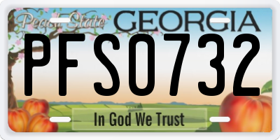 GA license plate PFS0732