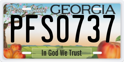 GA license plate PFS0737