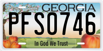GA license plate PFS0746