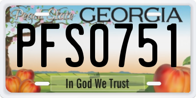GA license plate PFS0751