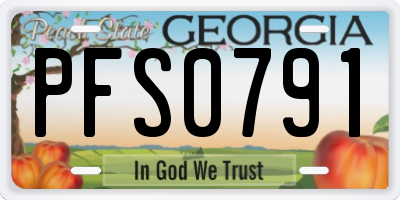 GA license plate PFS0791