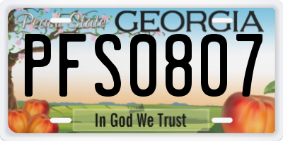 GA license plate PFS0807