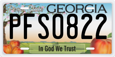 GA license plate PFS0822