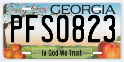 GA license plate PFS0823