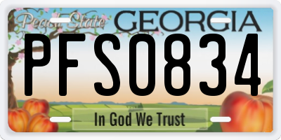 GA license plate PFS0834