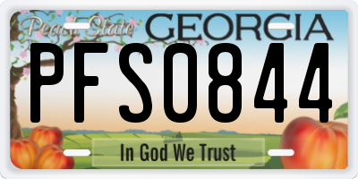 GA license plate PFS0844
