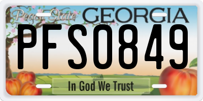 GA license plate PFS0849