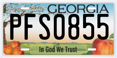 GA license plate PFS0855