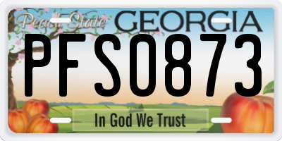 GA license plate PFS0873