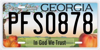 GA license plate PFS0878