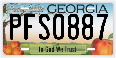 GA license plate PFS0887