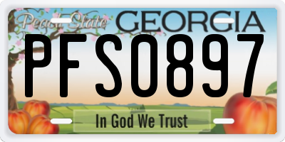 GA license plate PFS0897